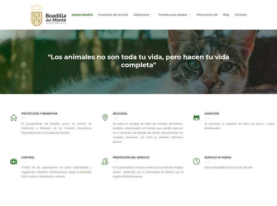 Nueva web Adoptaboadilla para fomentar la adopción de los animales abandonados y su cuidado