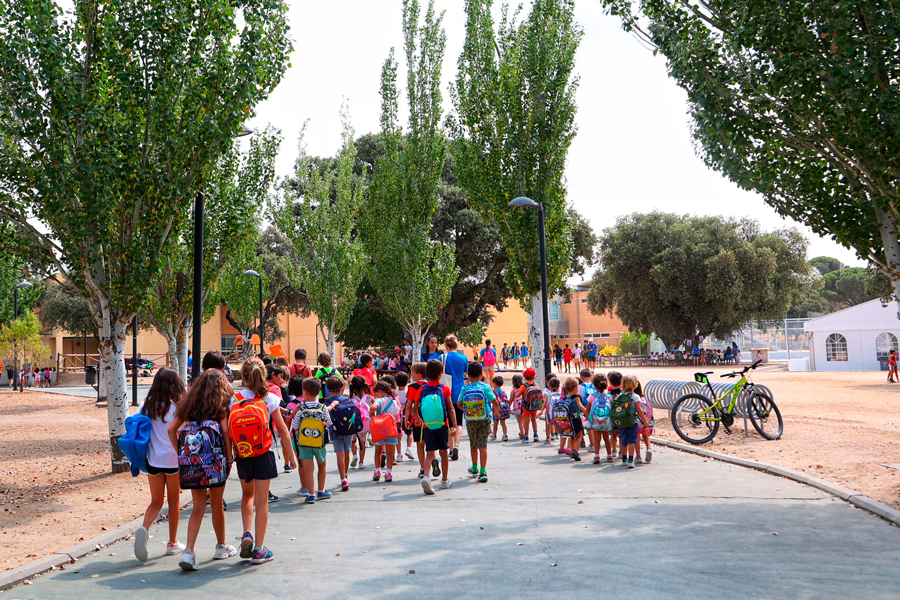 Las colonias y campus deportivos aún tienen plazas libres