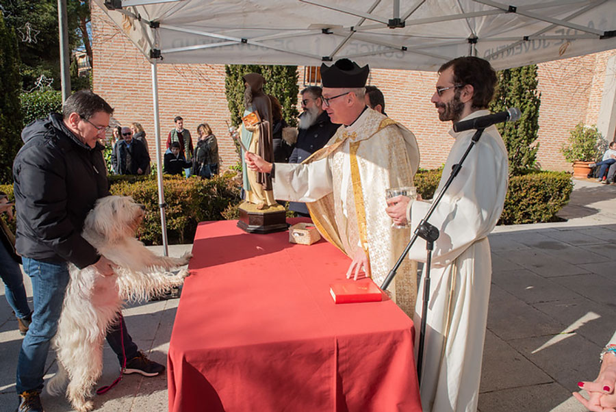 Los animales celebran a su patrón en Boadilla del Monte Los animales celebran a su patrón en Boadilla del Monte