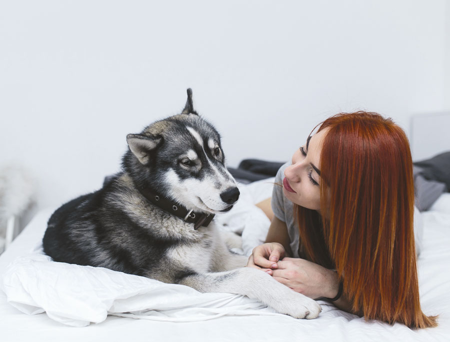 Las alergias alimentarias, ambientales o a la picadura de las pulgas son las más habituales entre los perros.