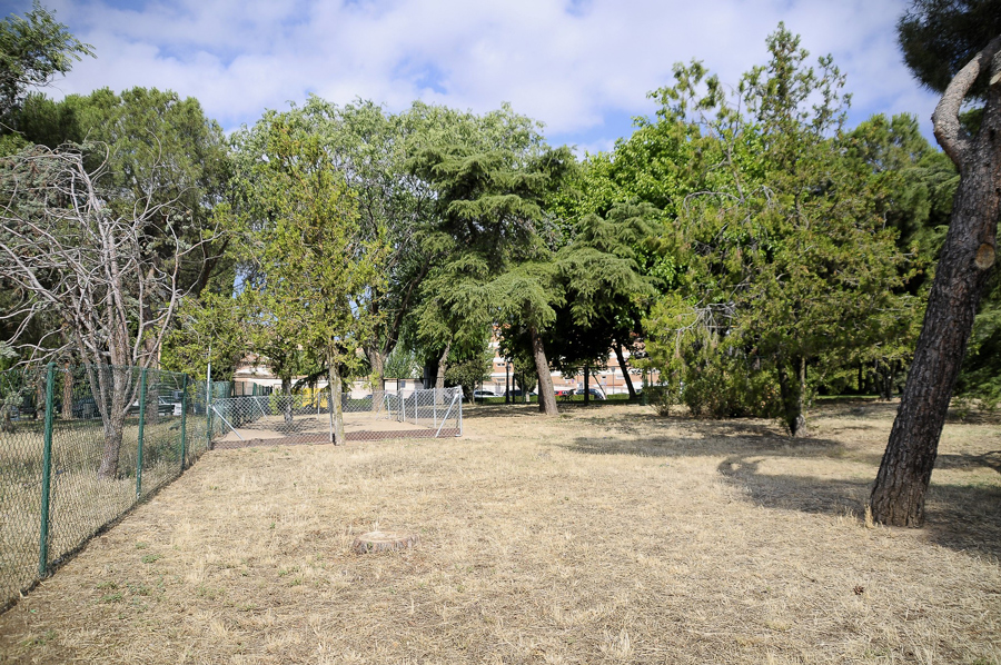 Se estrena área canina en el parque Virgen del Pilaren Boadilla del Monte 
