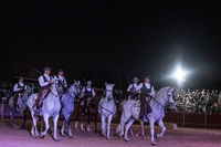 Fiestas Boadilla del Monte 2022. Renacer espectáculo de danza ecuestre