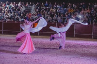 Fiestas Boadilla del Monte 2022. Renacer espectáculo de danza ecuestre