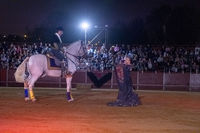 Fiestas Boadilla del Monte 2022. Renacer espectáculo de danza ecuestre