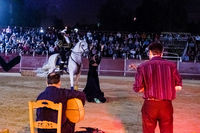 Fiestas Boadilla del Monte 2022. Renacer espectáculo de danza ecuestre