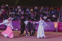 Fiestas Boadilla del Monte 2022. Renacer espectáculo de danza ecuestre