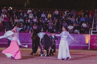 Fiestas Boadilla del Monte 2022. Renacer espectáculo de danza ecuestre