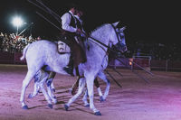 Fiestas Boadilla del Monte 2022. Renacer espectáculo de danza ecuestre