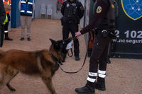 Fiestas Boadilla del Monte 2022. Seguridad: perros antidroga