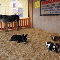 Granja escuela de Mercaboadilla.