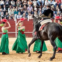 El Ballet de Pilar Domínguez y la Escuela de Equitación de los Hnos. Baena durante la representación en Boadilla del Monte de su espectáculo Arte y pasión... Sueños a caballo, le pasado 12 de octubre.