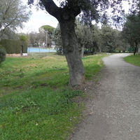 Distintas imágenes de la travesía en la urbanización Montepríncipe que APB solicita iluminar y sanear.