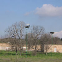 Imagen de los nidos artificiales para las cigüeñas instalados por el Ayuntamiento.