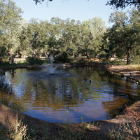 El entorno del Arroyo de la Fresneda, en el Monte Sur, estrena un conjunto de mejoras.