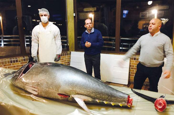 Despiece tradicional de un atún toro de 150 kg