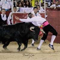 Manuel Cosía - Fotografía taurina