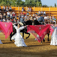 Espectáculo solidario de danza ecuestre 