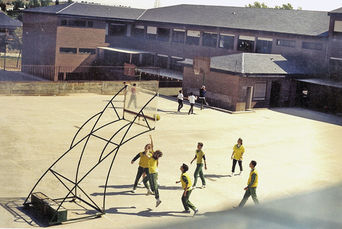 Mirabal International School, 40 años en primera línea