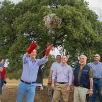 El alcalde de Boadilla del Monte, Antonio González Terol, durante la suelta de una de las rapaces ayer en el Monte de Boadilla.