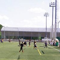 El Club Deportivo Nuevo Boadilla nació en 2008. Esta entidad deportiva cuenta con una cantera de 475 niños.