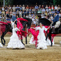 Arte y pasión… Sueños a caballo: la fusión de danza y doma