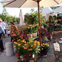 La feria de flores y plantas Boadilla Insólita atrajo a numerosos vecinos y visitantes de otros municipios.