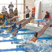 Nadadores durante las pruebas del IV Trofeo de Natación Virgen del Rosario.