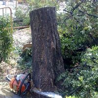 Alguno de los ejemplares llevaba más de 30 años allí.