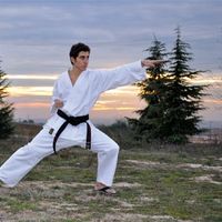 El karateka y vecino de Boadilla del Monte, Miguel Delgado.