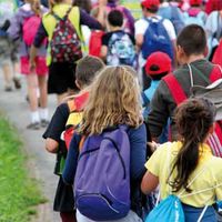 La oferta de campamentos y cursos de verano para los más pequeños en Boadilla del Monte y alrededores abarca todo tipo de actividades.