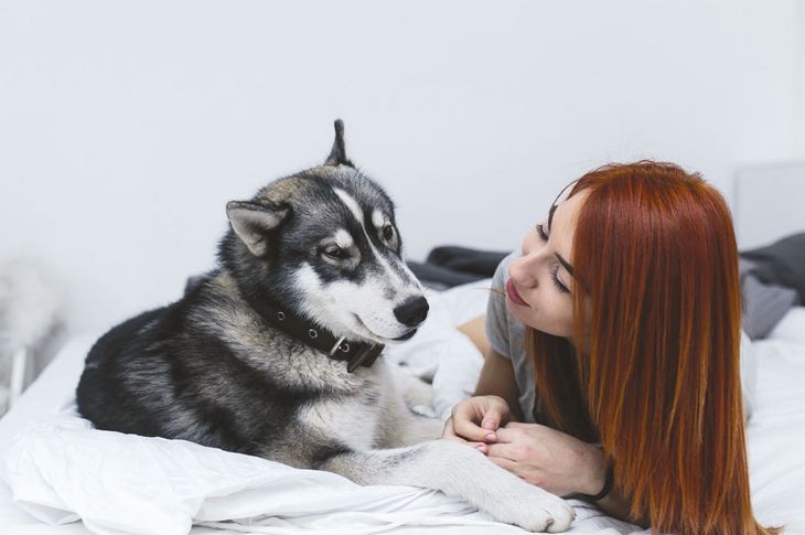 Las alergias alimentarias, ambientales o a la picadura de las pulgas son las más habituales entre los perros.