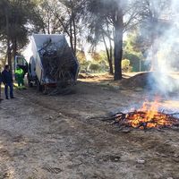 Puesta a punto de los cortafuegos del monte norte.