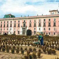 Últimos trabajos en los jardines del Palacio del Infante don Luis, que serán inaugurados este mes. Imagen Emilio Navas.