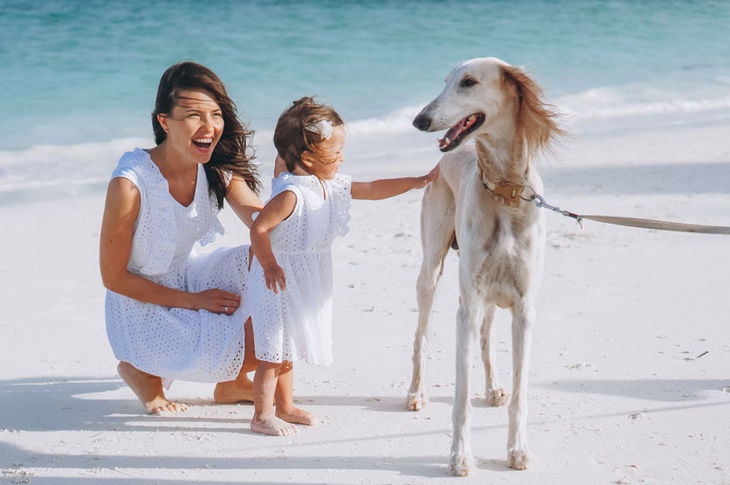 De vacaciones, también con tu mascota