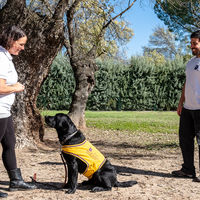 Hugo Cardeña y Rocío Marín, fundadores de Kuné, Perros de Ayuda Social