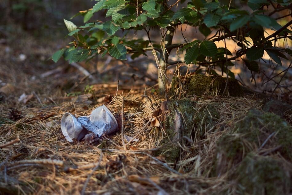 Boadilla se une a la campaña '1 metro cuadrado por la naturaleza'
