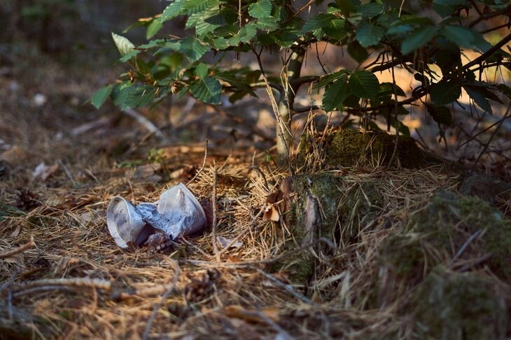 Boadilla se une a la campaña '1 metro cuadrado por la naturaleza'