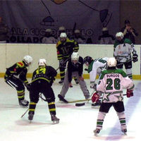 Equipo de Hockey sobre hielo del Club Las Encinas de Boadilla del Monte.