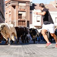 Manuel Cosía - Fotografía taurina