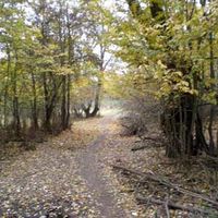 Imagen del Monte Romanillos, del que el PSOE boadillense denuncia está siendo vallado impidiendo el tránsito por caminos públicos.