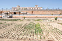 Huertas del palacio del Infante don Luis