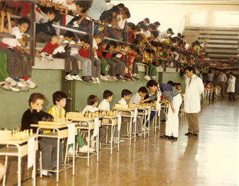 Mirabal International School, 40 años en primera línea