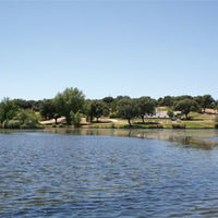 Imagen del lago del Club Las Encinas de Boadilla.